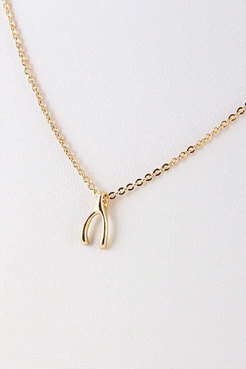 Make A Wish-Bone Necklace nicE HT