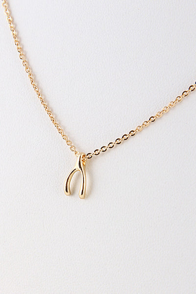 Make A Wish-Bone Necklace nicE HT